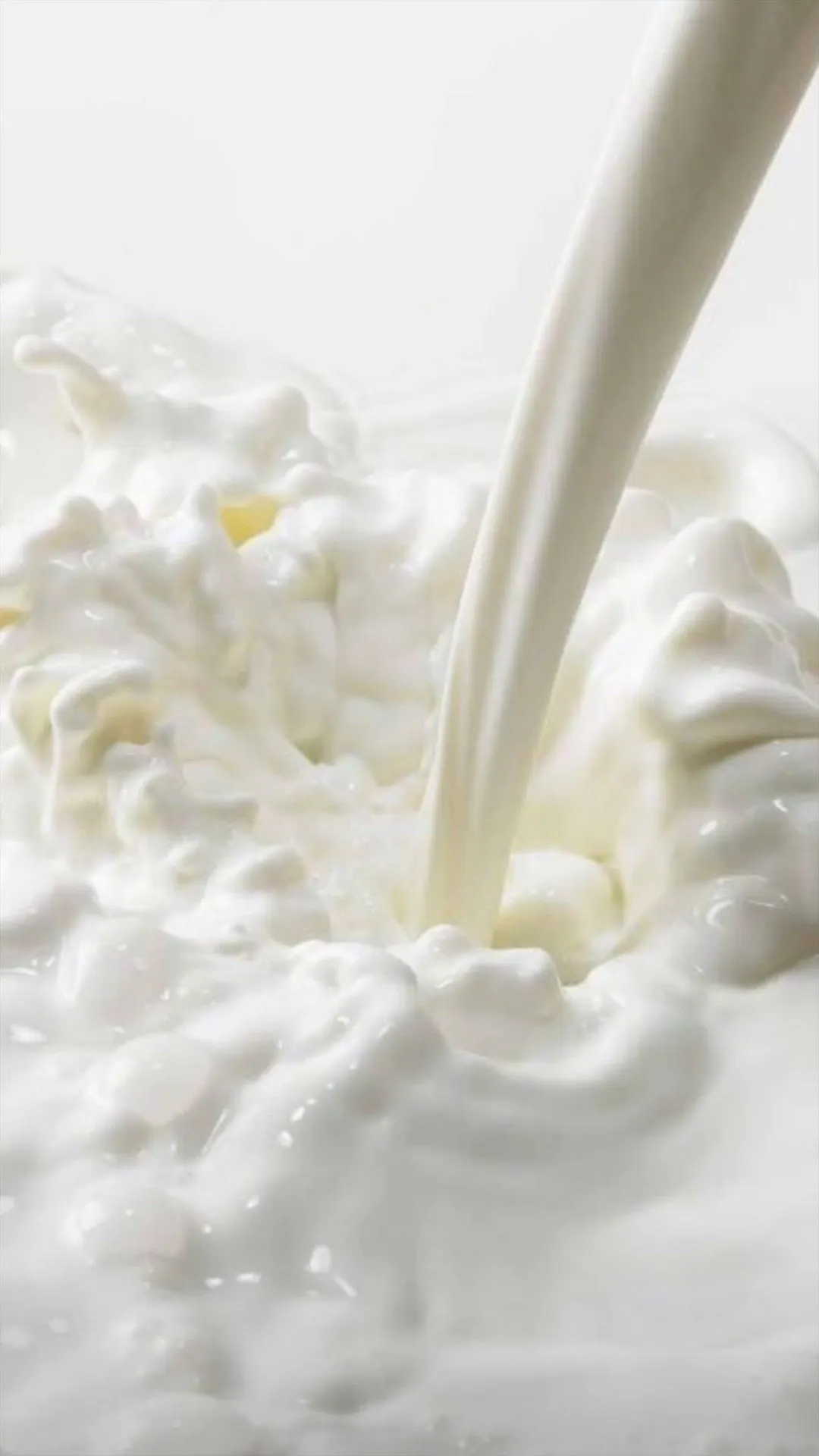 Full Cream Milk 1L