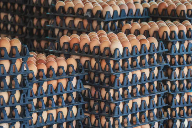 Kienyeji Eggs