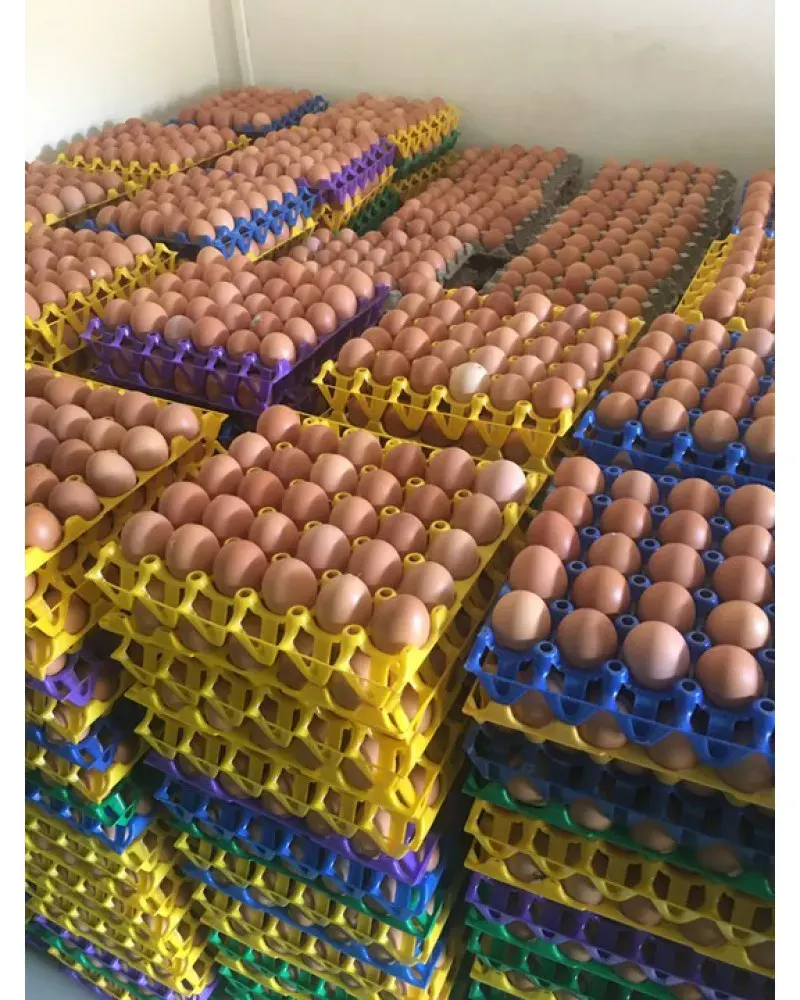 Medium Eggs